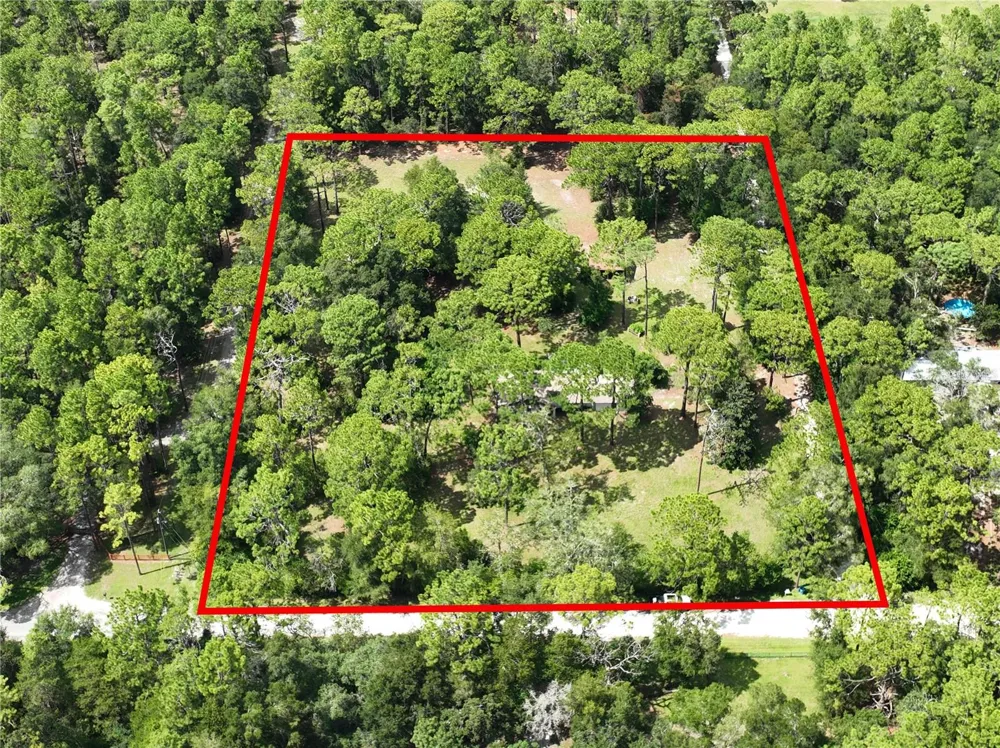 15337 VIRTS AVENUE Brooksville, FL 34604