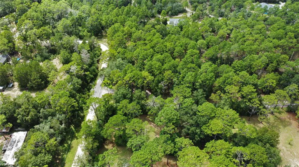 15337 VIRTS AVENUE Brooksville, FL 34604