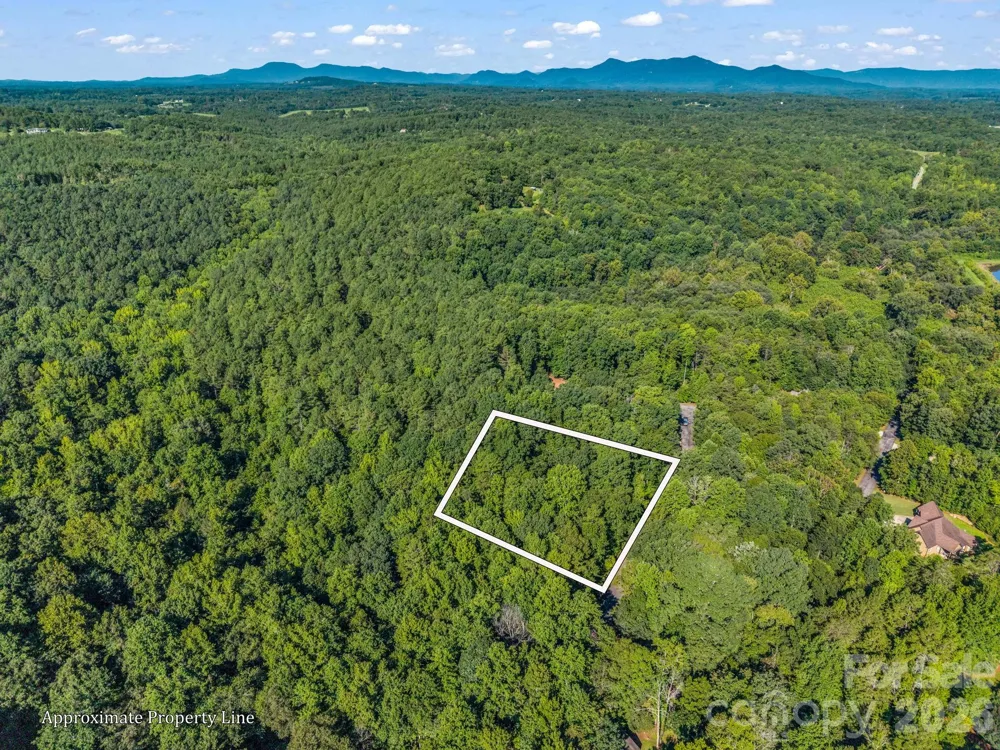 000 Rambling Creek Road Tryon, NC 28782