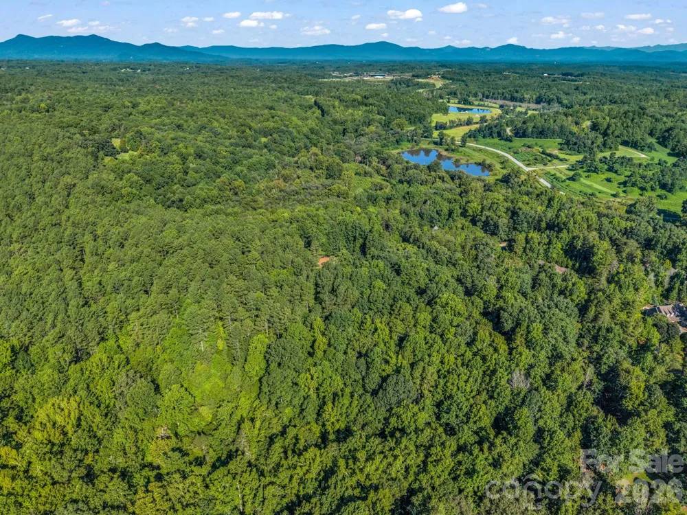 000 Rambling Creek Road Tryon, NC 28782