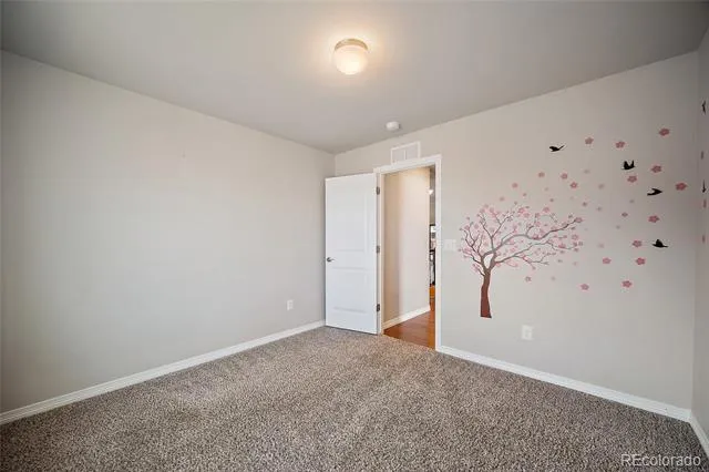 12670 Hiddenwalk Way Peyton, CO 80831