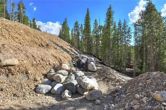 103 CR 529 Breckenridge, CO 80424