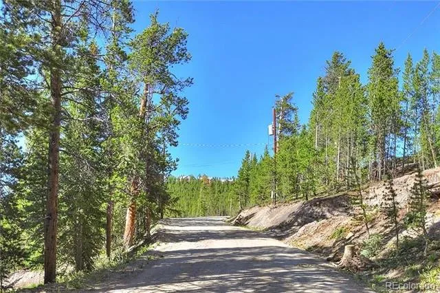 103 CR 529 Breckenridge, CO 80424