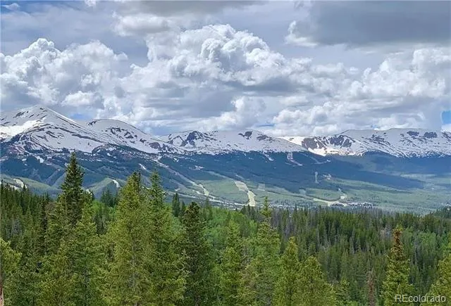103 CR 529 Breckenridge, CO 80424