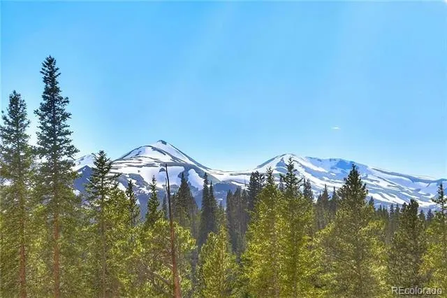 103 CR 529 Breckenridge, CO 80424