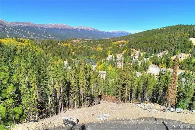 103 CR 529 Breckenridge, CO 80424