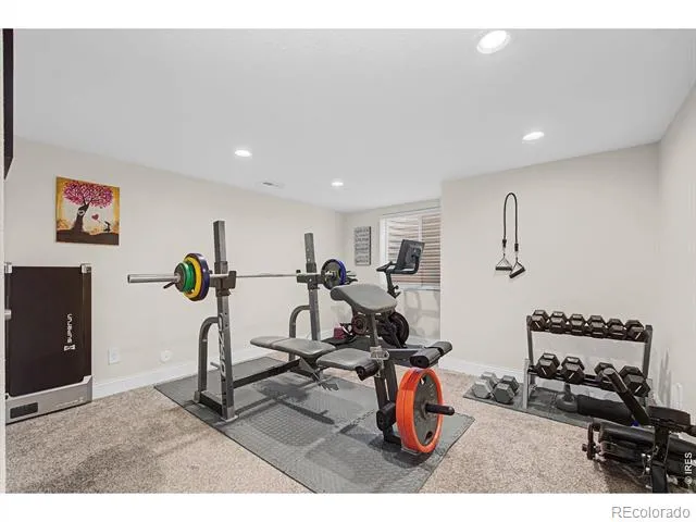 10024 Wyandott Circle S Thornton, CO 80260