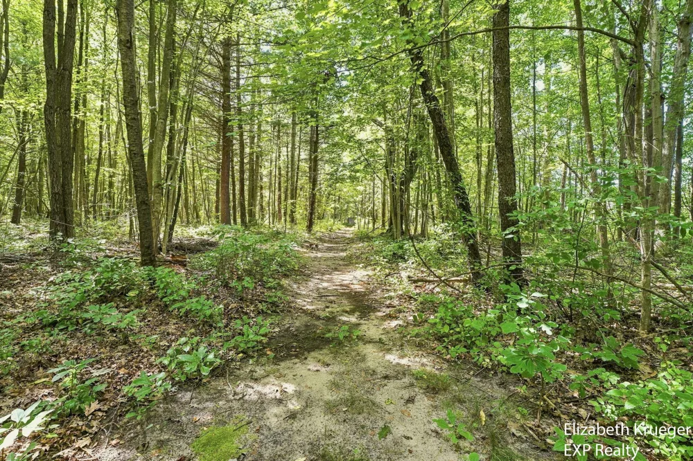 12389 112th Avenue Robinson Township, MI 49417