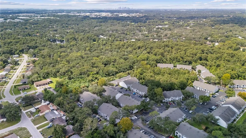 0000 ALLVIEW DRIVE Tampa, FL 33637