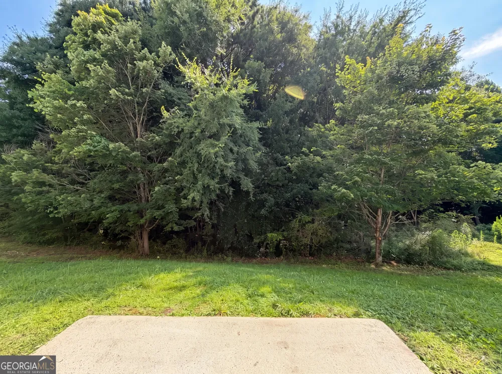 2287 Silver Maple CIR Ellenwood, GA 30294