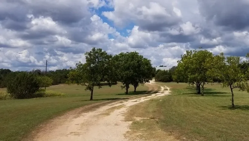 355 County Road 2800 Morgan, TX 76671