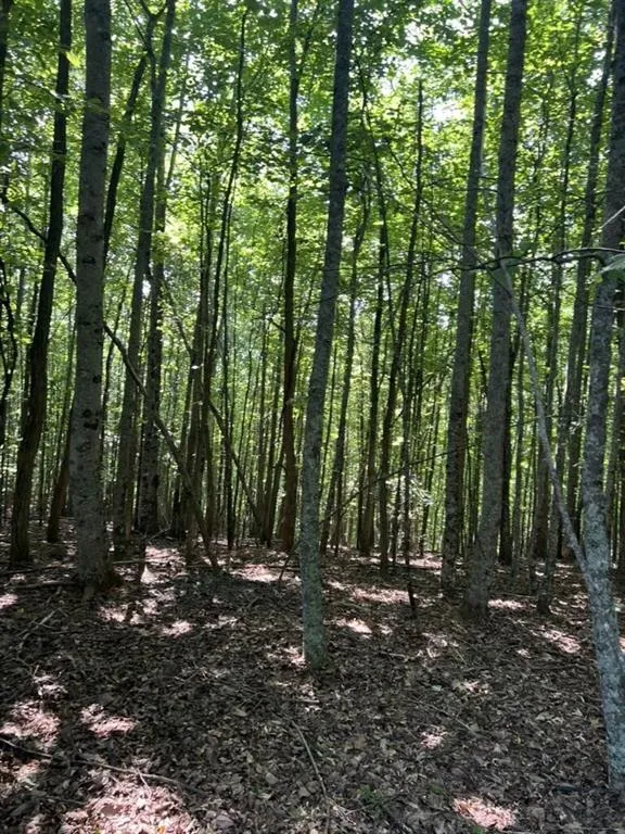 Tract A Oak Ledge Road Morganton, GA 30560