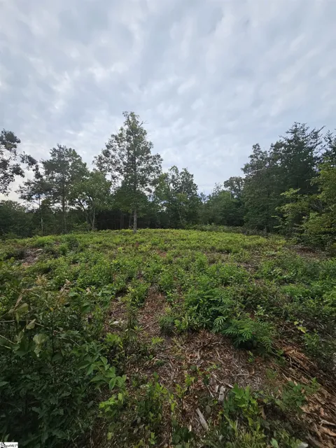 1142 Belue Mill Road