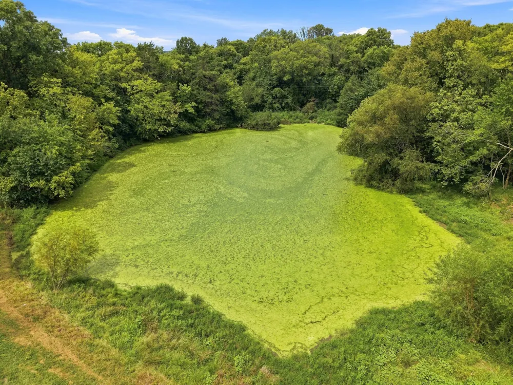 0 Thompson Lane Hartsville, TN 37074