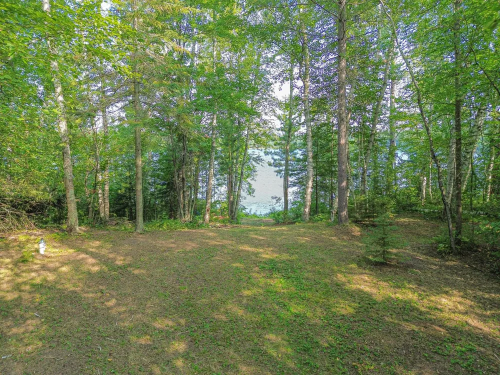 46823 Hartley Lake Road Bovey, MN 55709