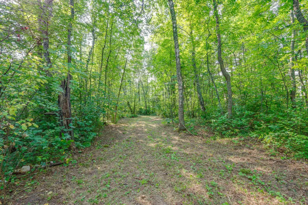 46823 Hartley Lake Road Bovey, MN 55709