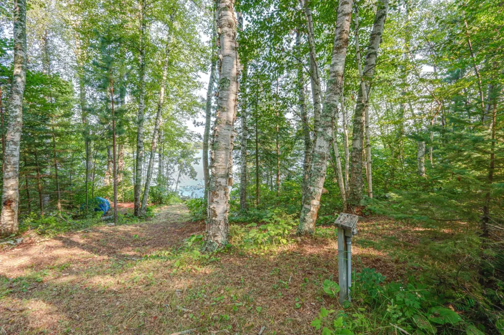 46823 Hartley Lake Road Bovey, MN 55709