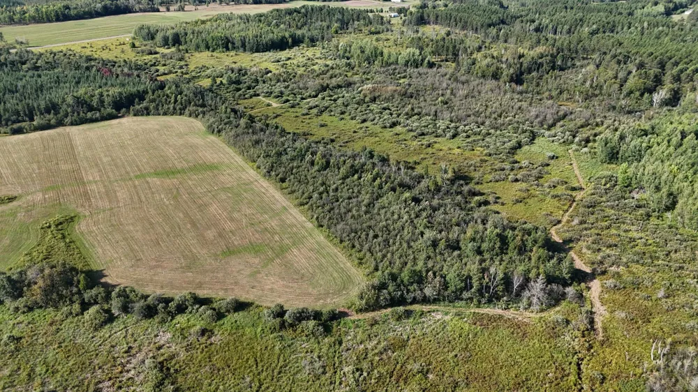 TBD Kingsley Road Cromwell, MN 55726