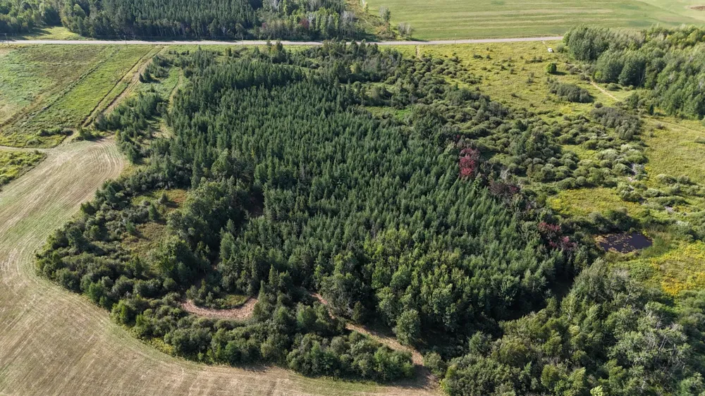 TBD Kingsley Road Cromwell, MN 55726