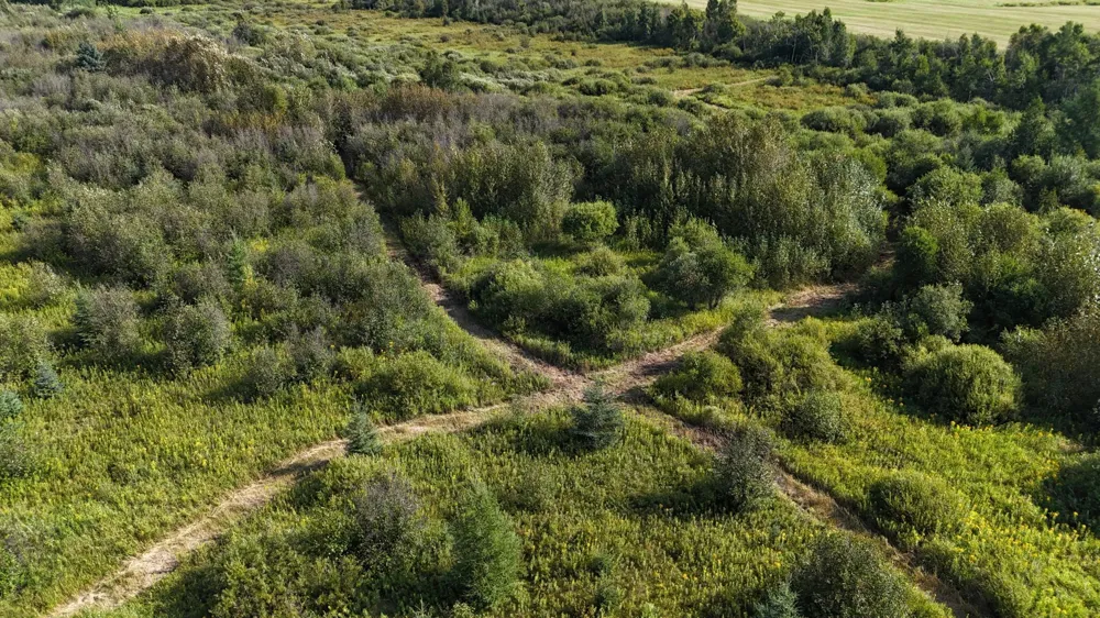 TBD Kingsley Road Cromwell, MN 55726