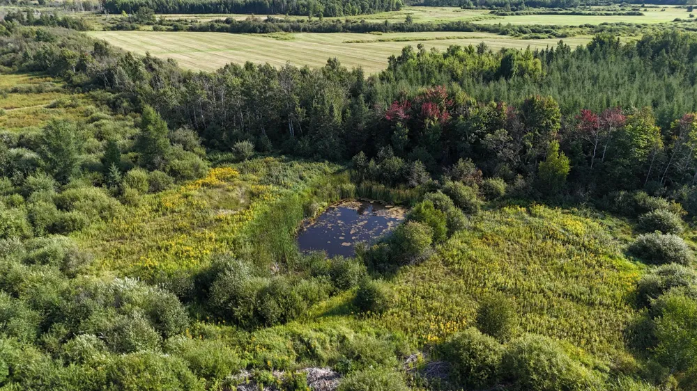 TBD Kingsley Road Cromwell, MN 55726