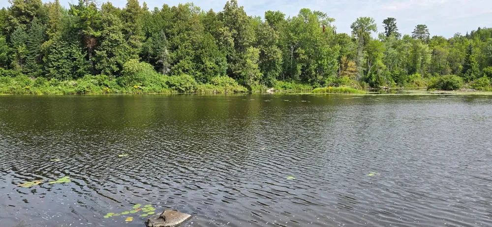 603 Big Fork Avenue Big Falls, MN 56627