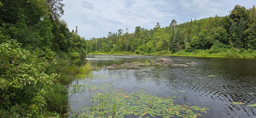 603 Big Fork Avenue Big Falls, MN 56627