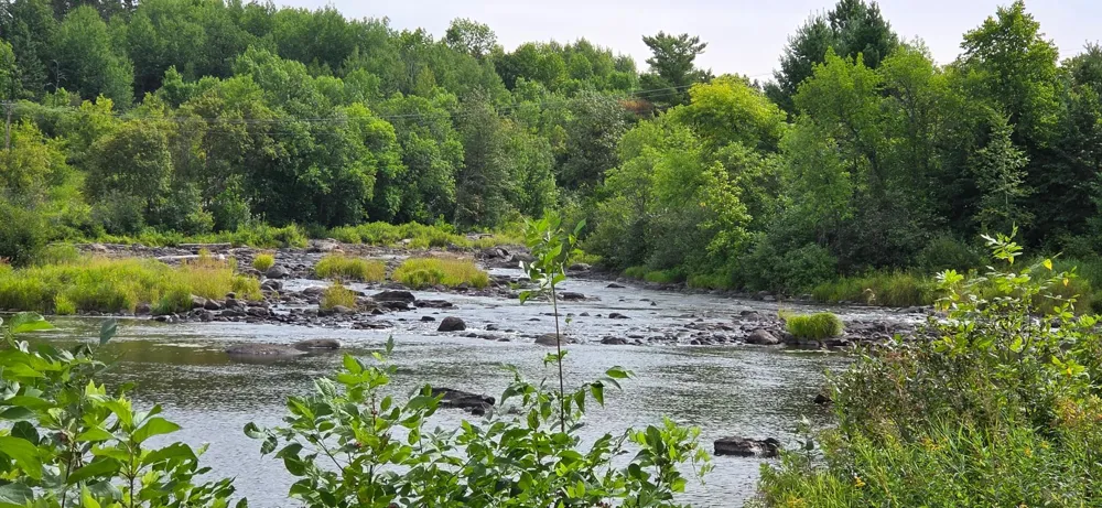 603 Big Fork Avenue Big Falls, MN 56627