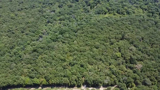 113 Triple Creek Avery, TX 75554