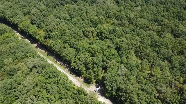 113 Triple Creek Avery, TX 75554