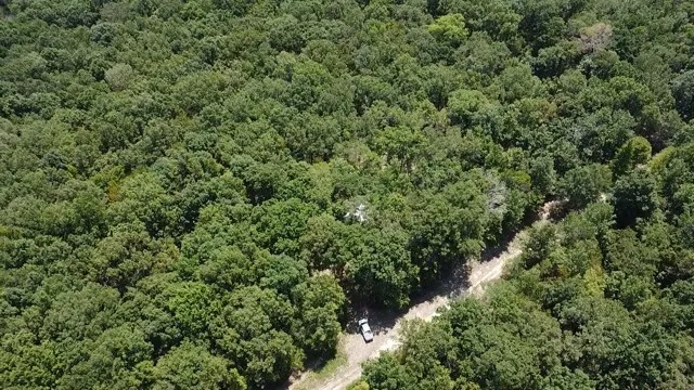 113 Triple Creek Avery, TX 75554