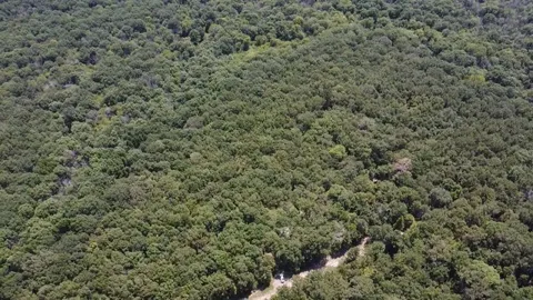 113 Triple Creek