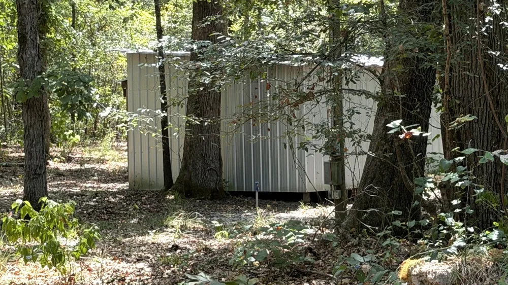 113 Triple Creek Avery, TX 75554