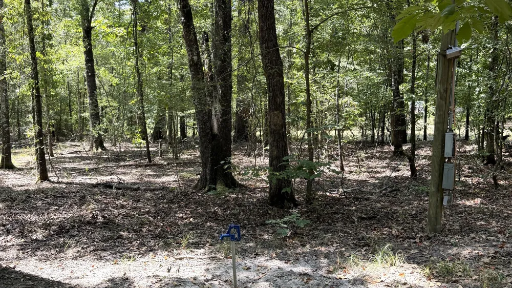 113 Triple Creek Avery, TX 75554