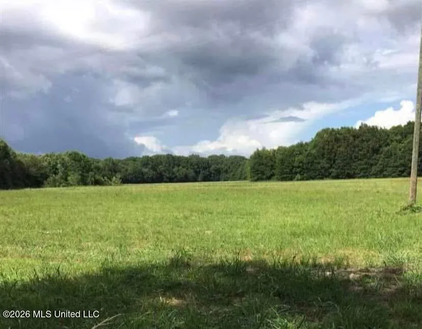 Wilson-bates Road Morton, MS 39117