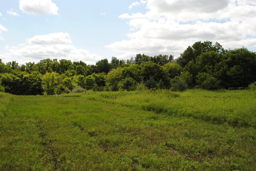 3168 Luna Drive Dexter, MI 48130