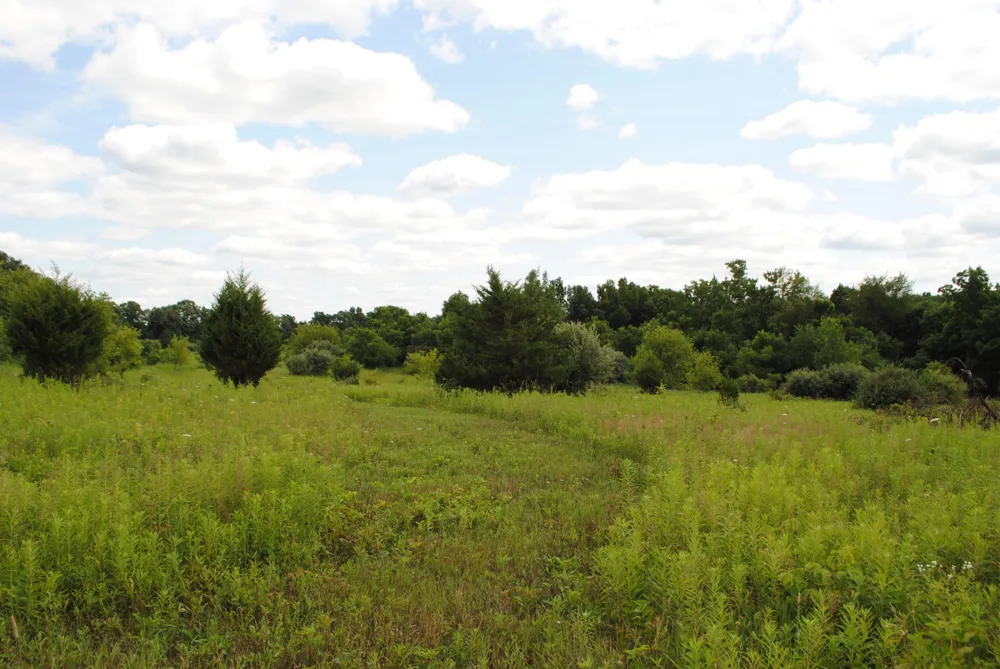 3168 Luna Drive Dexter, MI 48130