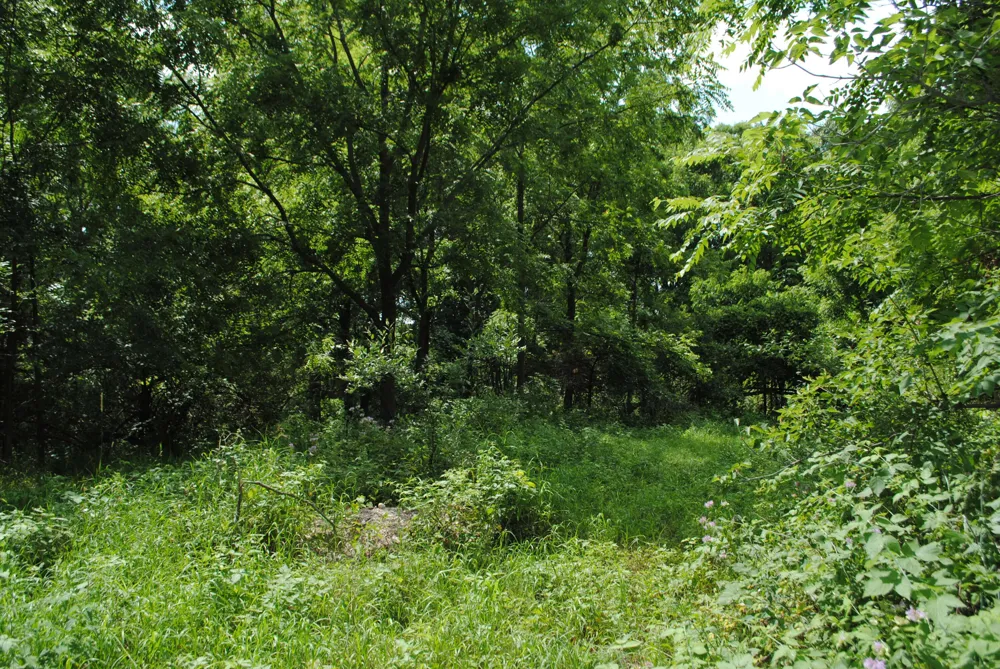 3168 Luna Drive Dexter, MI 48130