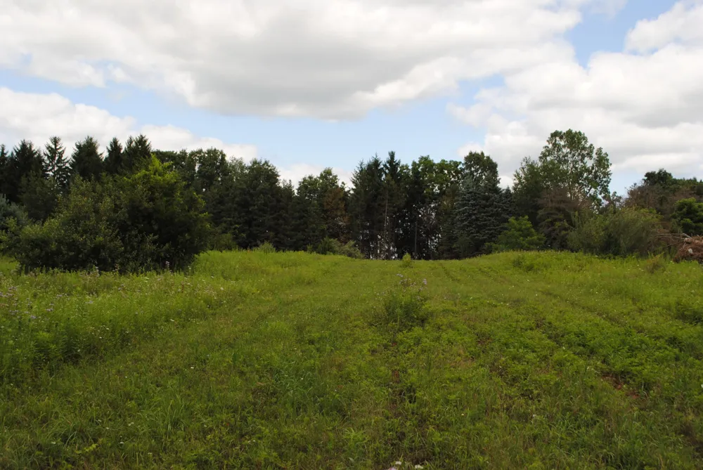 3168 Luna Drive Dexter, MI 48130