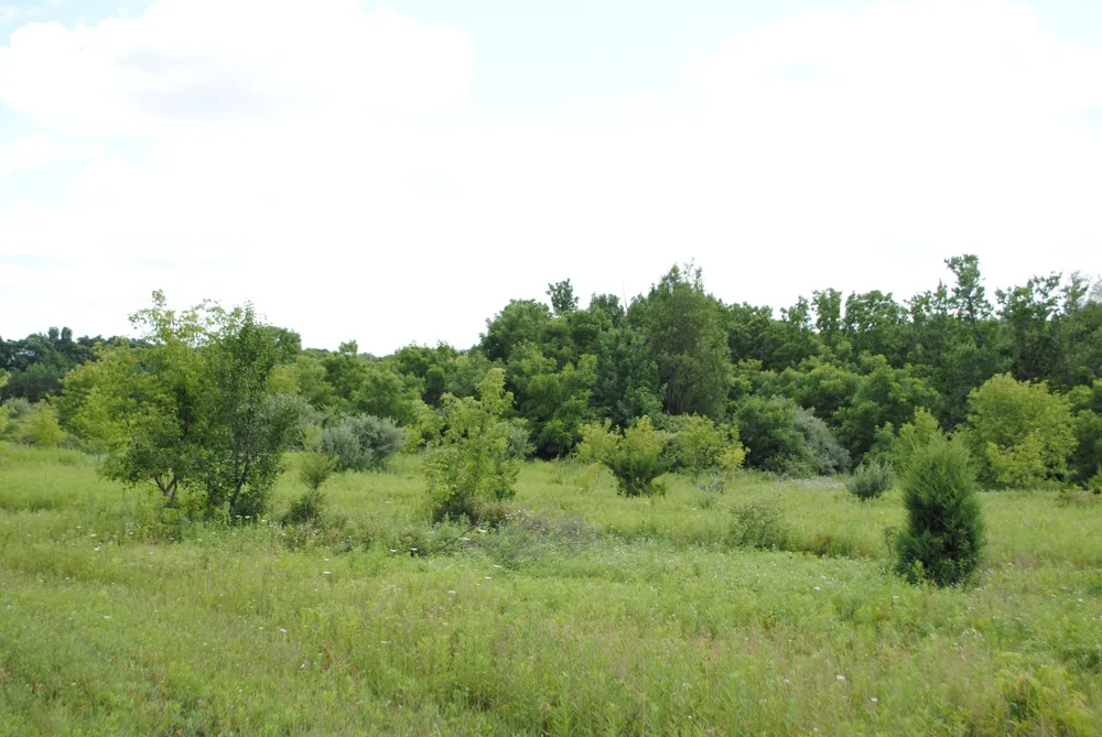 3168 Luna Drive Dexter, MI 48130