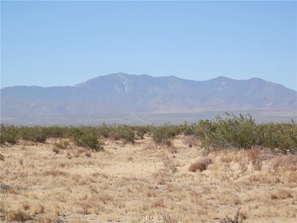 Gaceta Avenue Black Butte, CA 93591