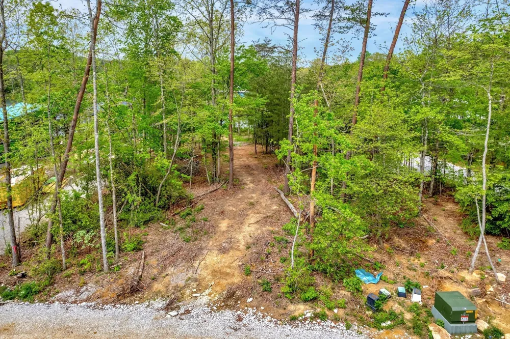 312 Hemlock Cove Tracy City, TN 37387