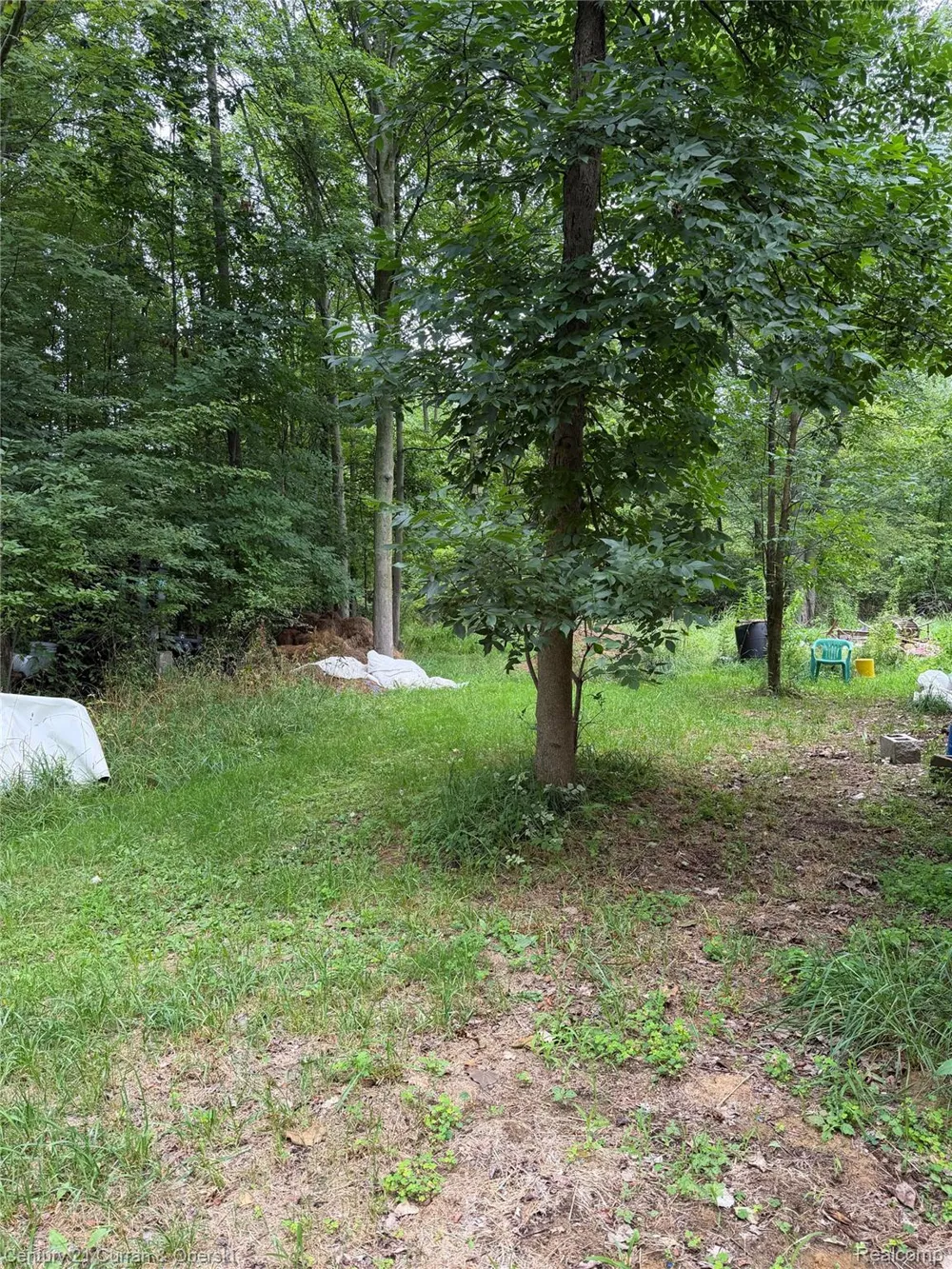 1873 Pierce Road Wells Township, MI 48723