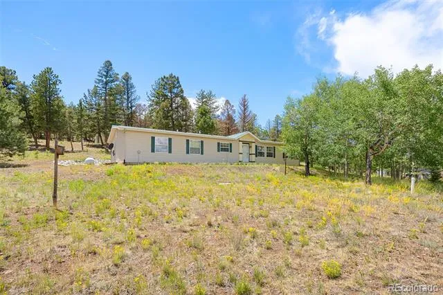 1855 Windmill Drive Hartsel, CO 80449