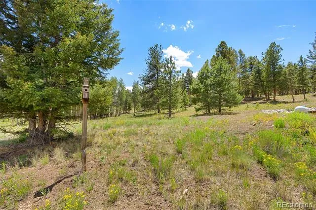 1855 Windmill Drive Hartsel, CO 80449
