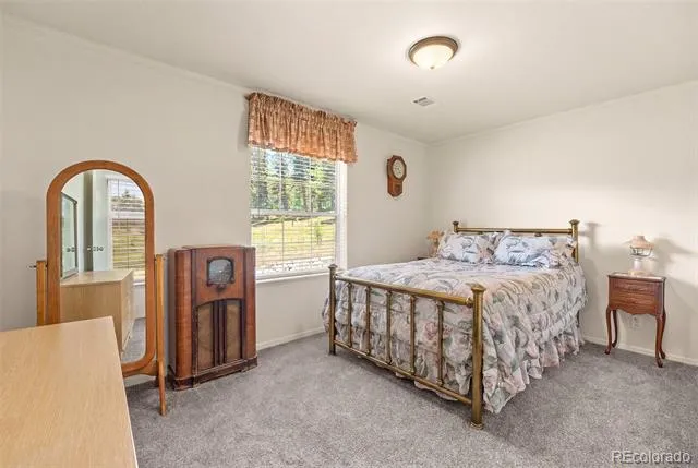 1855 Windmill Drive Hartsel, CO 80449