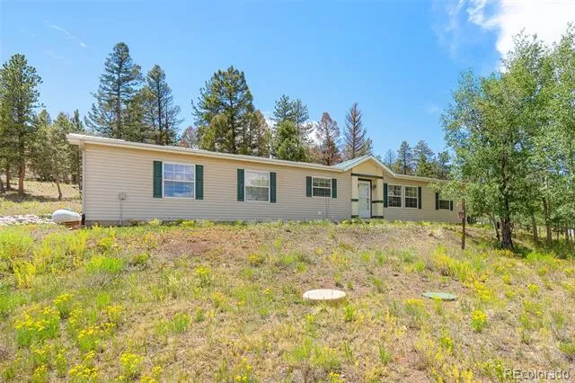 1855 Windmill Drive Hartsel, CO 80449