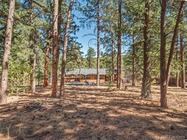 8815 Rudd Road Evergreen, CO 80439