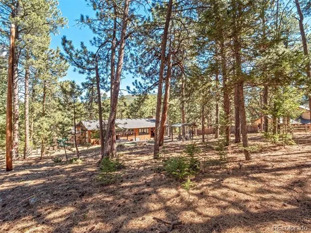8815 Rudd Road Evergreen, CO 80439