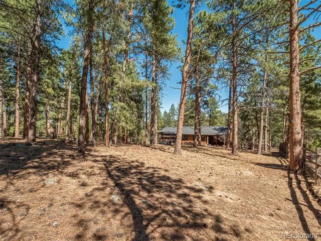 8815 Rudd Road Evergreen, CO 80439
